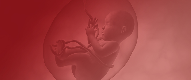 A Case Report of Tissue Mosaicism in 45,X0/46,XY: Diagnostic Complexity in a Newborn with Ambiguous Genitalia