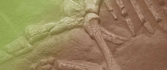 Unraveling Unidentified Fossil Bone and Tooth Fragments Through Histology, Chemistry, and Multivariate Statistics