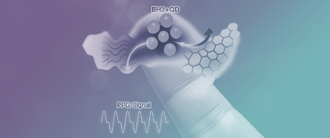 High-Detectivity Organic Photodetector with InP Quantum Dots in PTB7-Th:PC71BM Ternary Bulk Heterojunction