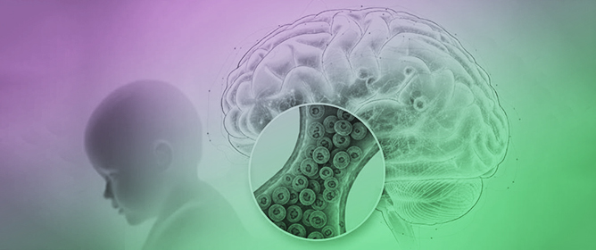 Neurovascular Pathophysiology and Emerging Biomarkers in Cerebral Malaria: An Integrative Perspective