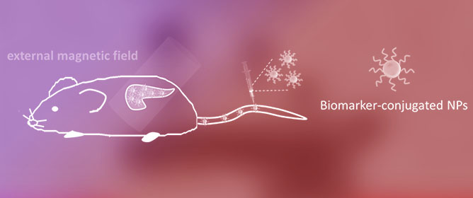 Theranostics for Pancreatic Cancer