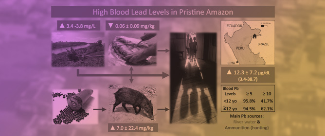 Unexpected High Blood Lead Levels in a Remote Indigenous Community in the Northeastern Peruvian Amazon