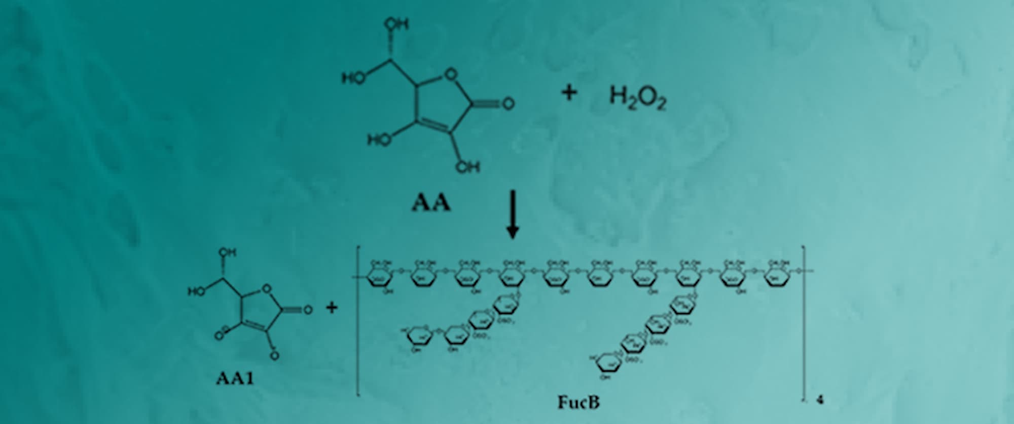 Gallic Acid Functionalization Improves the Pharmacological Profile of Fucoidan B: A Polysaccharide with Antioxidant Properties