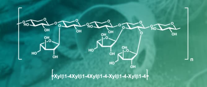 Wheat Hydrocolloids and Their Importance for Brewing