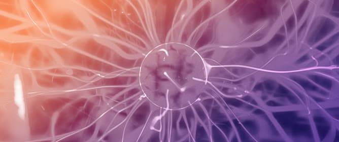 The Effect of Electrode Geometry on Excited Species Production in Atmospheric Pressure Air&ndash;Hydrogen Streamer Discharge