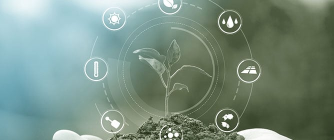 Roots to Riches: Unearthing the Synergy of Intercropping, Microbial Interactions, and Symbiotic Systems for Sustainable Agriculture: A Review