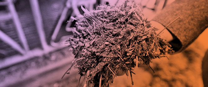 Efficiency and Sustainability of Natural Feed Additives in Sub-Saharan Africa for Ruminant Production: A Systematic Review