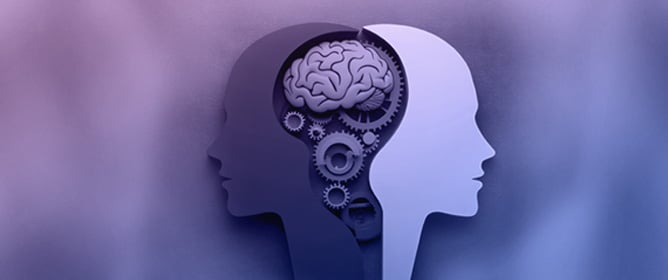 Human-AI Symbiotic Theory (HAIST): Development, Multi-Framework Assessment, and AI-Assisted Validation in Academic Research