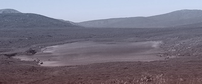 Evidence Synthesis and Knowledge Integration for Sustainable Peatland Management