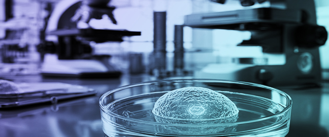 Standardized Methodology for 3D Epithelial Spheroid Culture