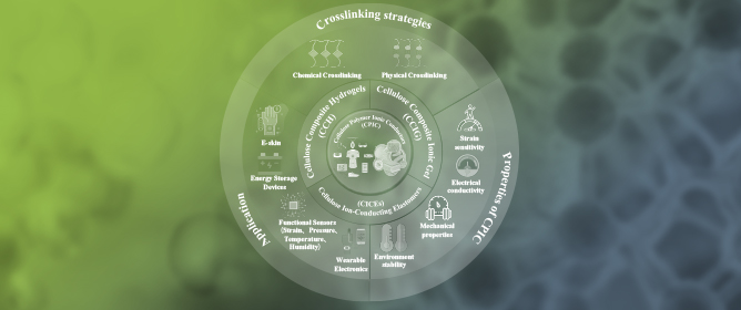 Progress in Cellulose-Based Polymer Ionic Conductors: From Performance Optimization to Strain-Sensing Applications