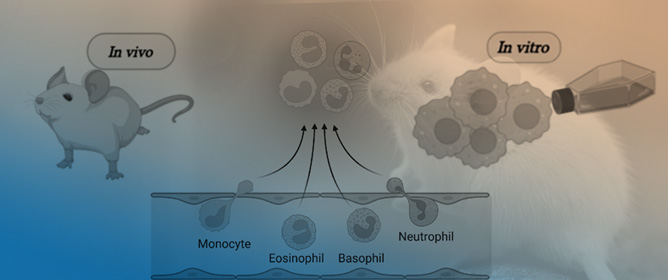 Promising Anti-Inflammatory Species from the Lecythidaceae Family: An Integrative Review
