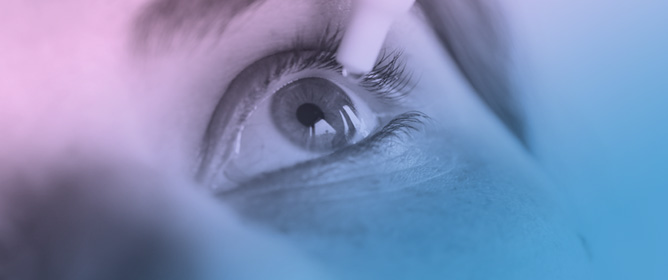 Enhanced Ocular Retention and Anti-Allergic Efficacy of a Novel HA&ndash;Ectoine&ndash;CMC Eye Drop for Dry Eye Disease Management