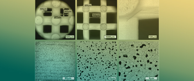 Advancing Scaffold Architecture for Bone Tissue Engineering: A Comparative Study of 3D-Printed &beta;-TCP Constructs in Dynamic Culture with pBMSC