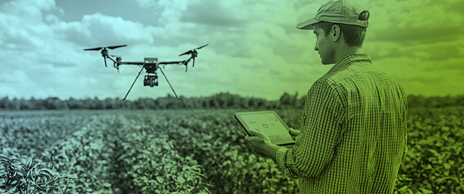 AgriFusion: Multiscale RGB&ndash;NIR Fusion for Semantic Segmentation in Airborne Agricultural Imagery