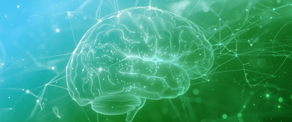 Superoxide Anion Generation, Its Pathological Cellular and Molecular Roles and Pharmacological Targeting in Inflammatory Pain: Lessons from the Potassium Superoxide Model