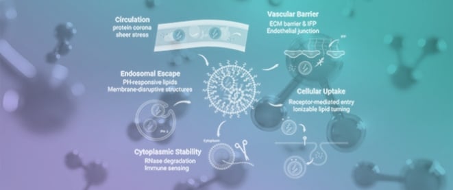 Physiological Barriers to Nucleic Acid Therapeutics and Engineering Strategies for Lipid Nanoparticle Design, Optimization, and Clinical Translation