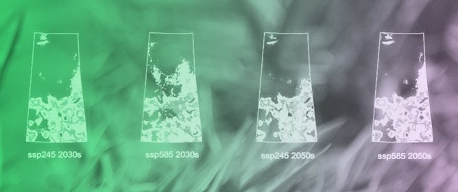 Prediction of Potential Habitat Distributions and Climate Change Impacts on Six <em>Carex</em> L. Species of Conservation Concern in Canada