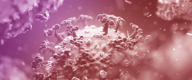 Discovery and Characterization of 7,8-Dihydropyrido[4,3-<em>d</em>]pyrimidines as SARS-CoV-2 Entry Inhibitors