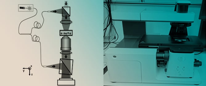 Characterization of a Single-Capture Bright-Field and Off-Axis Digital Holographic Microscope for Biological Applications