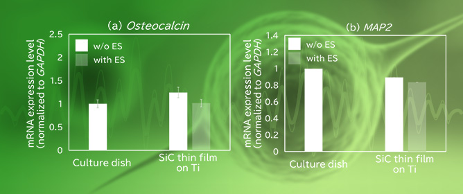 The Effect of Electrical Stimulation on the Cellular Response of Human Mesenchymal Stem Cells Grown on Silicon Carbide-Coated Carbon Nanowall Scaffolds