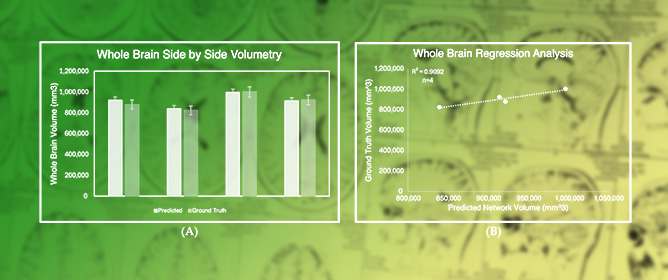 Ultra-High Resolution 9.4T Brain MRI Segmentation via a Newly Engineered Multi-Scale Residual Nested U-Net with Gated Attention