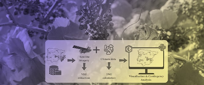 A Simple Aridity Index to Monitor Vineyard Health: Evaluating the De Martonne Index in the Iberian Peninsula