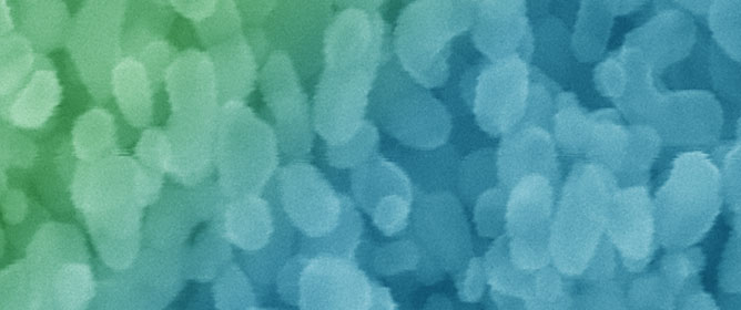 Nanoscale Nickel Oxide: Synthesis, Characterization and Impact on Antibacterial Activity Against Representative Microorganisms