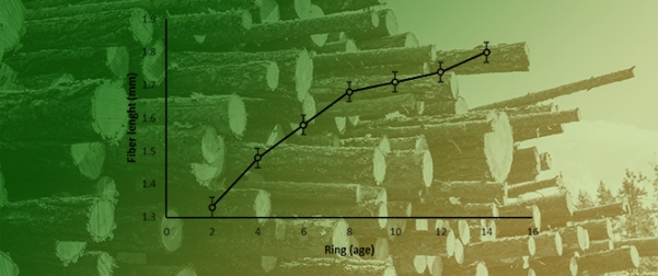 Use of <em>Cupressus lusitanica</em> for Afforestation in a Mediterranean Climate: Biomass Production and Wood Quality