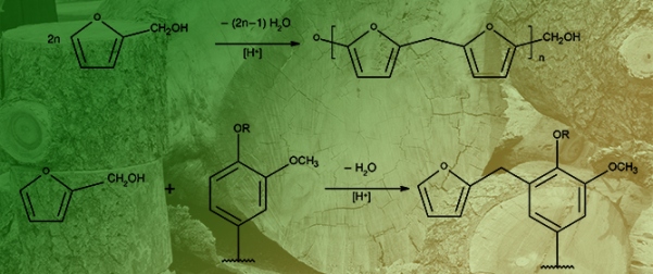 Biopolymer-Based Solutions for Sustainable Wood Modification: A Review of Current Advancements