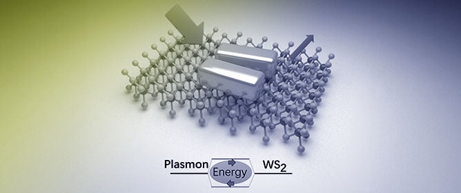 Tunable Strong Plasmon-Exciton Coupling in a Low-Loss Nanocuboid Dimer with Monolayer WS<sub>2</sub>