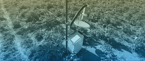 Acoustic Trap Design for Biodiversity Detection