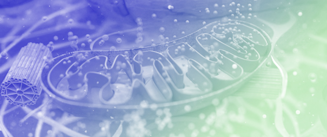 Mitochondrial Collapse Responsible for Chagasic and Post-Ischemic Heart Failure Is Reversed by Cell Therapy Under Different Transcriptomic Topologies