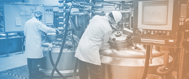 Lipidomic and Metabolomic Signatures of the Traditional Fermented Milk Product Gioddu