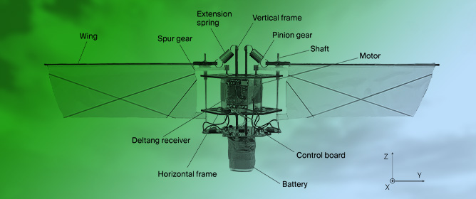 Design and Flight Experiment of a Motor-Directly-Driven Flapping-Wing Micro Air Vehicle with Extension Springs