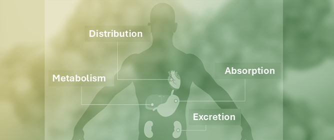 Antibiotic Pharmacology and Antechology