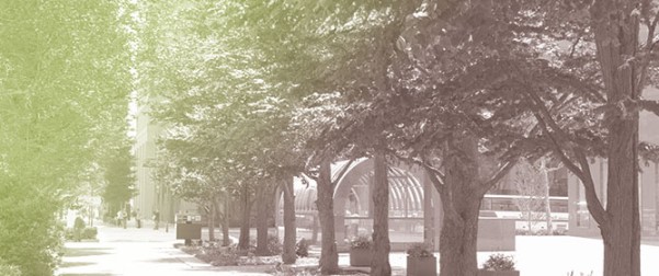 Urban Park Cooling Intensity