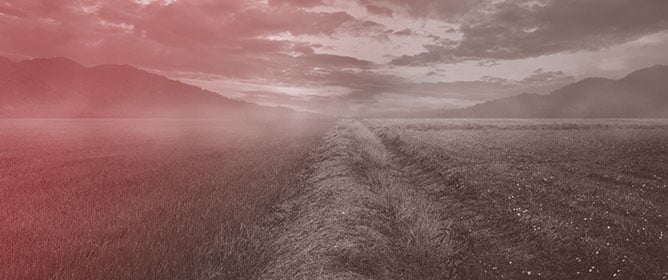 Land Expansion and Green Rural Transformation in Developing Countries