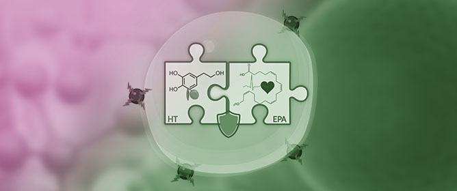HT-EPA: A Novel Antioxidant Conjugate with Potential for Omega-3 Stabilization
