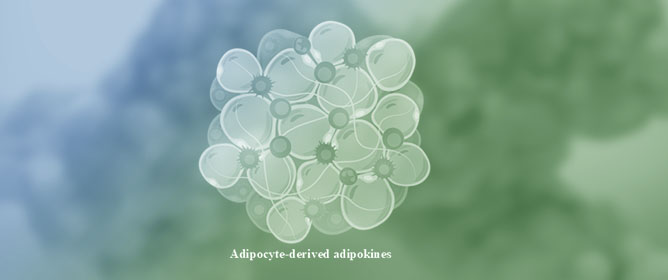 Adipokines Role in Cardiometabolic Dysfunction: A Review of Current Knowledge