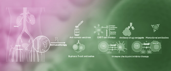 Immunotherapy for Prostate Cancer: Present and Future Prospectives