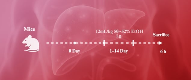 Recent Progress in Small Molecule Fluorescent Probes for Imaging and Diagnosis of Liver Injury