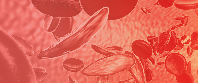 Haematologists as Genetic Counsellors for Haemoglobinopathies: Are They Prepared?