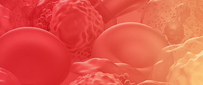 <em>MECOM</em>-Rearranged Acute Myeloid Leukemia: Pathobiology and Management Strategies