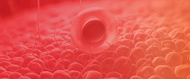 Association of Cognitive Impairment with Reduced Health-Related Quality of Life and Depression Among Survivors of Thrombotic Thrombocytopenic Purpura