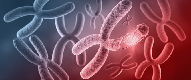 Molecular Complexity of MDS and AML with Aberrations of Chromosome 7