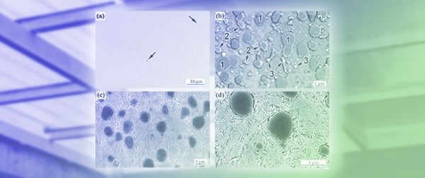 Enhancing Dry-Sliding Wear Performance of a Powder-Metallurgy-Processed &ldquo;Metal Matrix&ndash;Carbide&rdquo; Composite via Laser Surface Modification