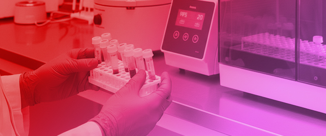 Evaluation of Expression and Clinicopathological Relevance of Small Nucleolar RNAs (snoRNAs) in Invasive Breast Cancer