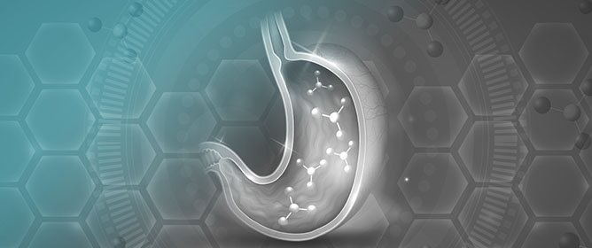 T Helper and Cytotoxic T Cells Play an Important Role in Acute Gastric Injury