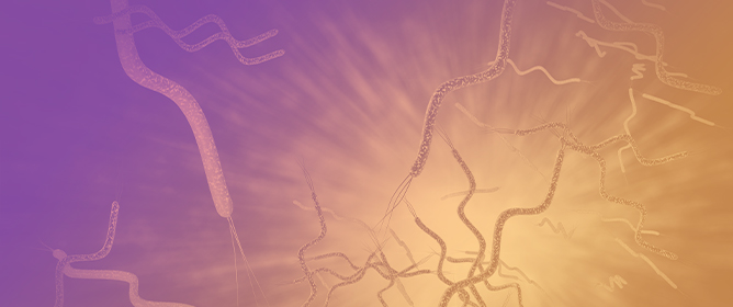 A Novel Approach to <em>H. pylori</em> Eradication: A Narrative Review of Vonoprazan-Based Therapies